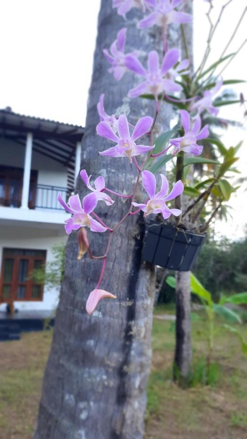 Mellow Villa Tangalle Exterior photo